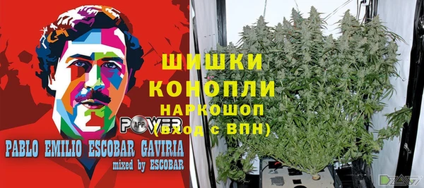 дживик Абаза