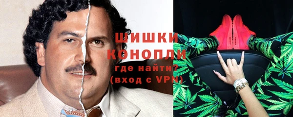 дживик Абаза