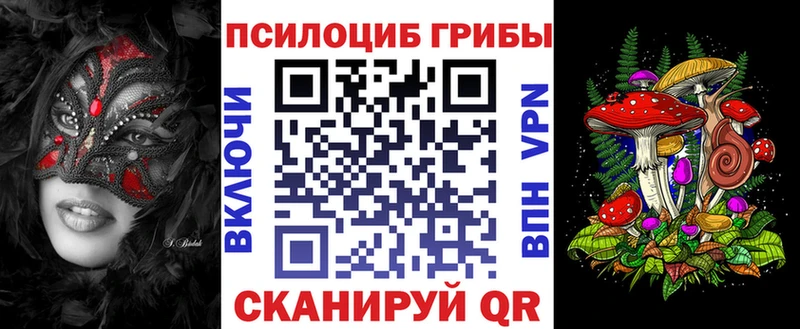 мориарти официальный сайт  Кораблино  Псилоцибиновые грибы MAGIC MUSHROOMS  где продают наркотики 